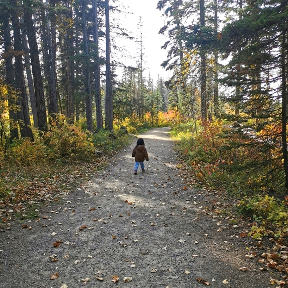 Meet your Posher, Lily - Picture 1 of 1